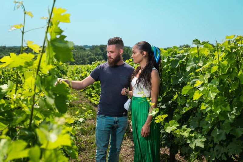 Bordeaux: Visite/dégustation hédoniste au Château de Reignac - Key Points