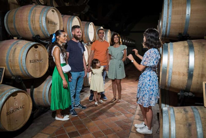 Bordeaux: Visite/dégustation hédoniste au Château de Reignac - The Wines You’ll Experience