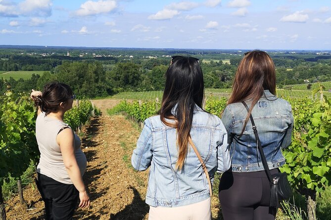 Bordeaux wine tour: 2 wineries (red & white wine) - Key Points