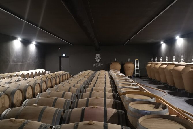 Bordeaux wine tour: 2 wineries (red & white wine) - Exploring the Pessac-Léognan Estate