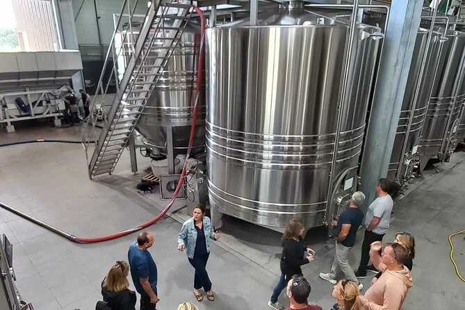 Bordeaux wine tour: 2 wineries (red & white wine) - Practical Tips for Participants