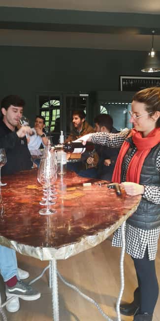 Bordeaux wine tour: 2 wineries & wine tastings (red & white) - Visiting the Organic Winery in Pessac-Léognan