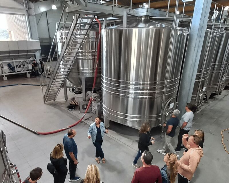 Bordeaux wine tour: 2 wineries & wine tastings (red & white) - Discovering Entre-deux-Mers’ Hills and Wines