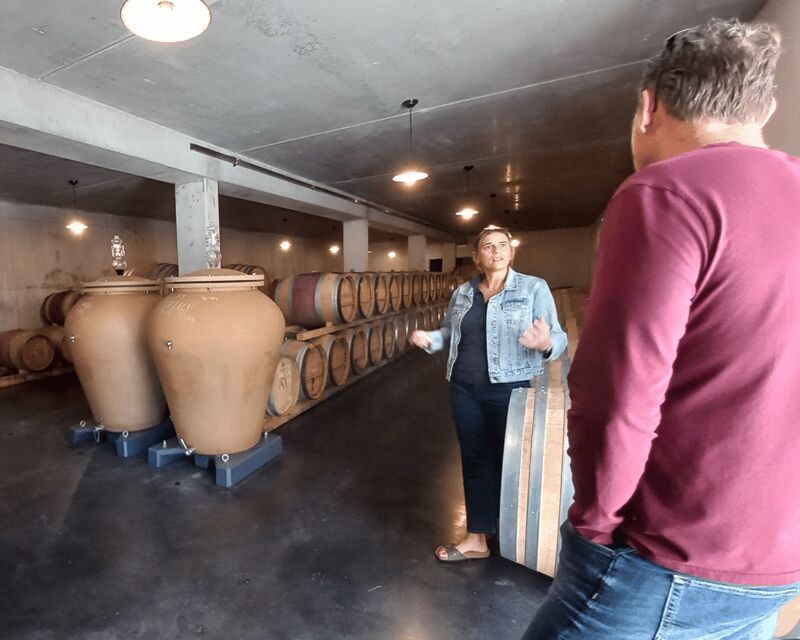 Bordeaux wine tour: 2 wineries & wine tastings (red & white) - The Wines: Red and White Tasting Highlights
