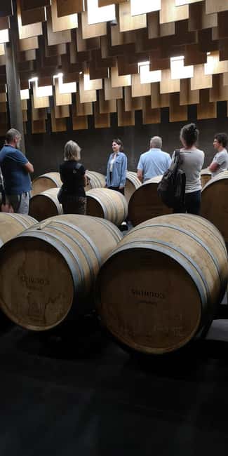 Bordeaux wine tour: 2 wineries & wine tastings (red & white) - Logistics: Pacing, Comfort, and Family Friendliness