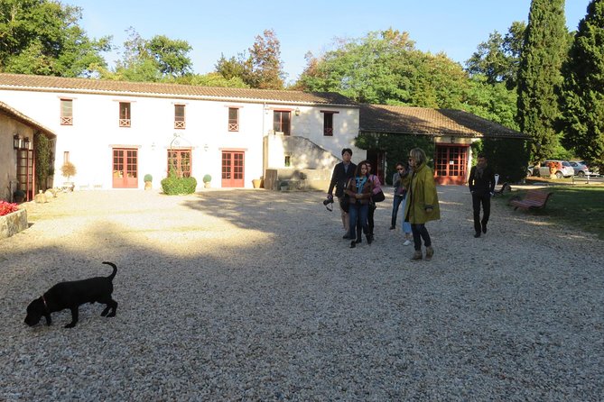 Bordeaux: Wine Tour and Tasting - Sampling Bordeaux’s Signature Wines