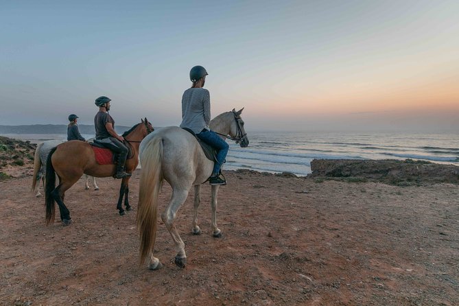 Bordeira Beach - Horse Riding Tour at Sunset - Horses and Care Standards
