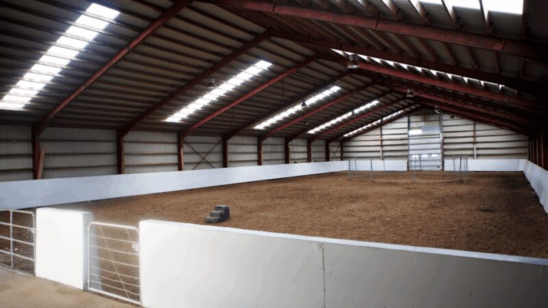 Borgarnes: Horseback Riding Tour with Prep Lesson - The Experience Provider: Hestaland efh.