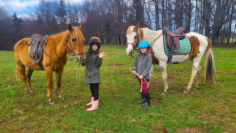 Borovets: Horse Riding Experience - Exploring Ranch Butch Camp and Forest Trails