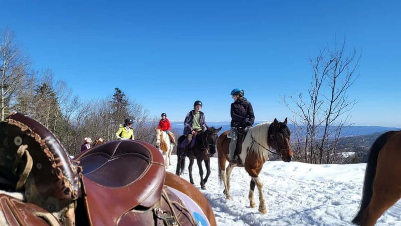 Borovets: Horse Riding Experience - The Scenic Forest Trails and Mountain Views