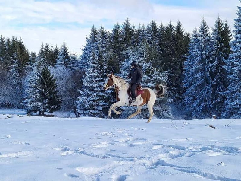 Borovets: Horse Riding Experience - What’s Included and What’s Not