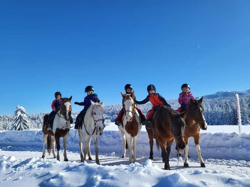 Borovets: Horse Riding Experience - Practical Details and Considerations