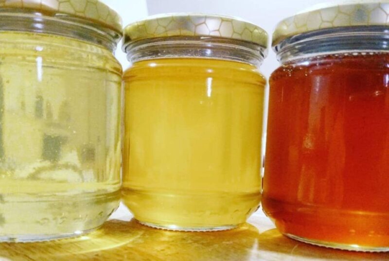 Bosa: discover the products of the beehive - Discover Sardinia’s Beekeeping Secrets with a Hands-On Workshop in Flussio