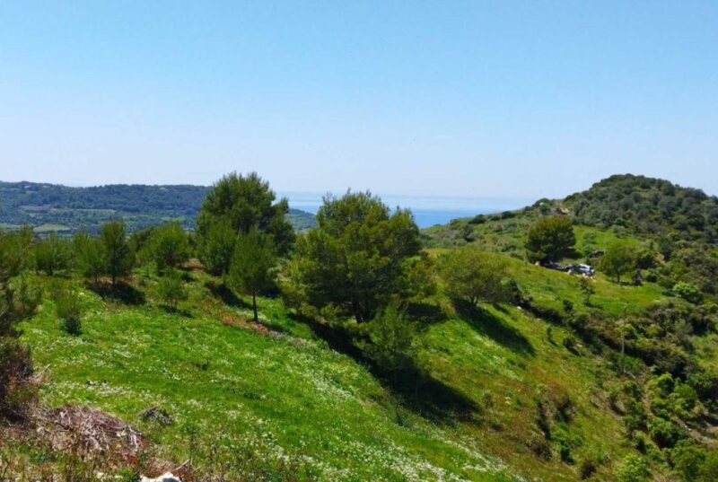 Bosa: discover the products of the beehive - Frequently Asked Questions