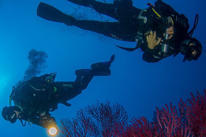 Bosa Diving Baptism - Key Points