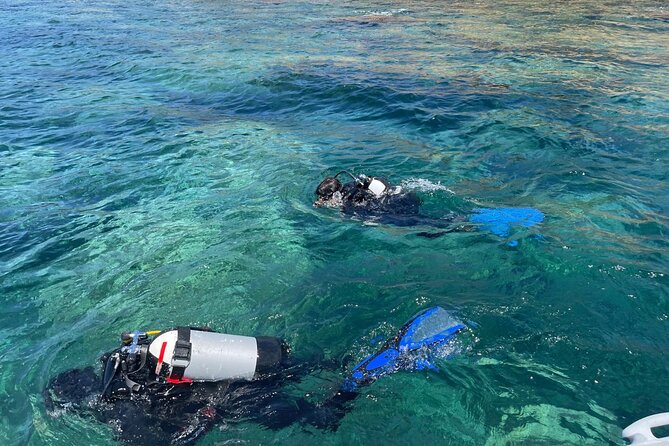 Bosa Diving Baptism - The Safety and Orientation Session