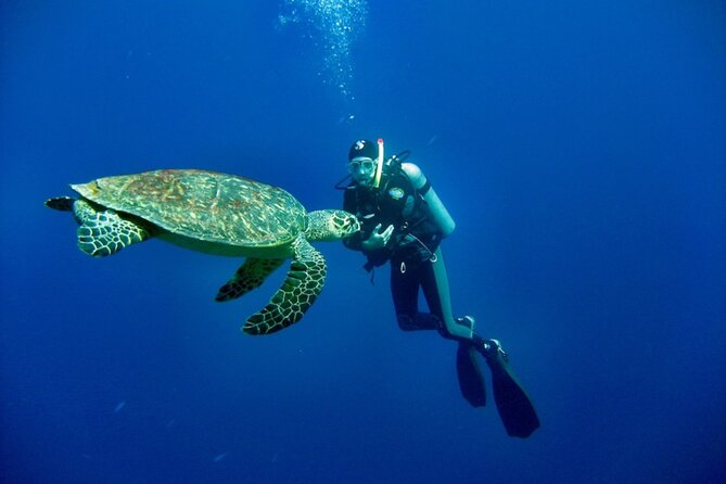 Bosa Diving Baptism - The Pacing and Group Size