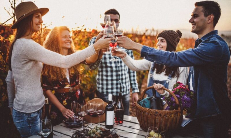 Boscotrecase: Vesuvius Wine Tasting Tour With Lunch - Final Thoughts on the Vesuvius Wine Tasting and Lunch