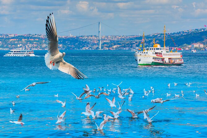 Bosphorus Boat Cruise & Two Continents Tour with Lunch - Practical Details and Logistics