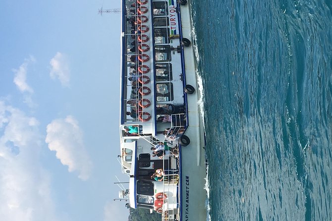 Bosphorus Cruise With Dolmabahçe Palace and Fortresses - Starting Point and Easy Logistics in Central Istanbul