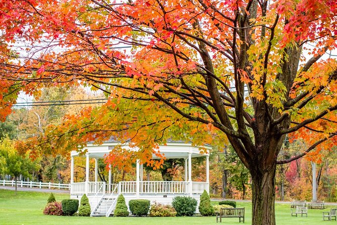 Boston Cambridge Lexington and Concord Private Day Tour - The Guide’s Expertise and Engaging Style