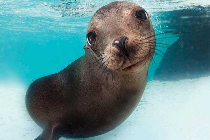 Boston CityPASS® - Final Thoughts on the Boston CityPASS