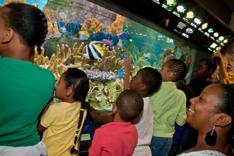 Boston CityPASS®: Save up to 46% at 4 Top Attractions - Practical Details: Accessibility, Cancellation, and More