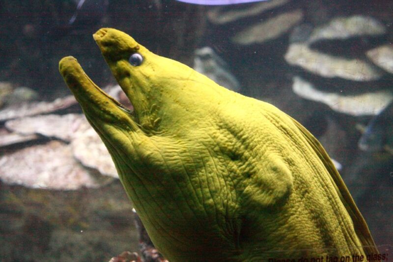 Boston CityPASS®: Save up to 46% at 4 Top Attractions - The Value of the Boston CityPASS® for Your Trip