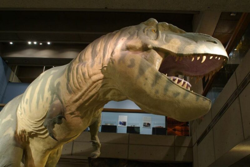 Boston CityPASS®: Save up to 46% at 4 Top Attractions - Who Should Consider the Boston CityPASS®?