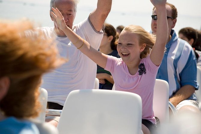 Boston Codzilla High-Speed Thrill Boat Ride - Key Points