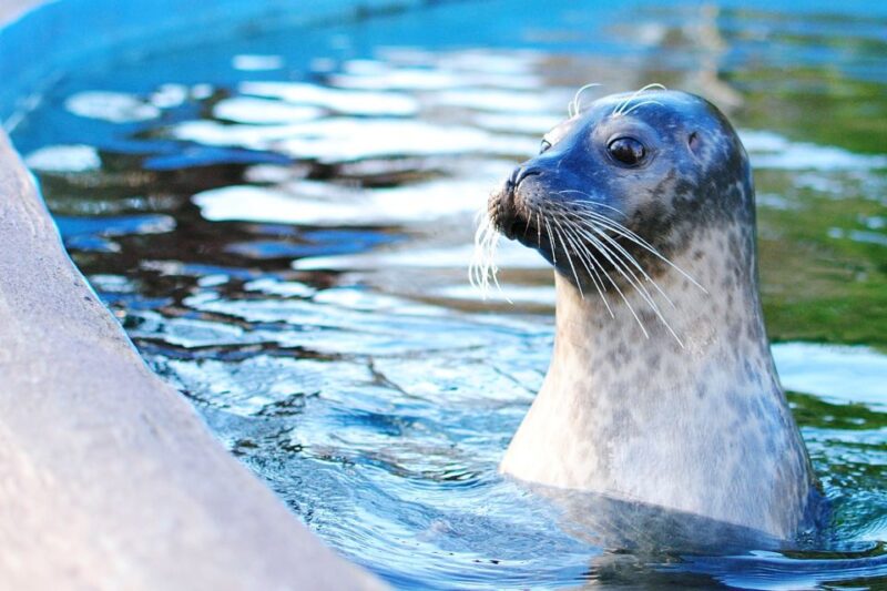 Boston: Explorer Pass Save up to 50% on 30+ Top Attractions - Cruises and Water-Based Experiences