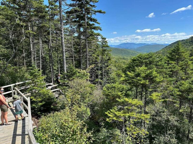 Boston Fall Day Trip to White Mountains, Lost River Gorge - Comparing the Experience with Similar Tours