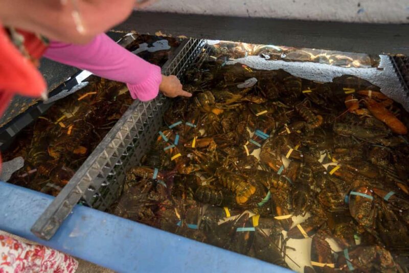 Boston: Guided Seafood Tasting and History Tour - Exploring Boston’s Oldest Fish Pier