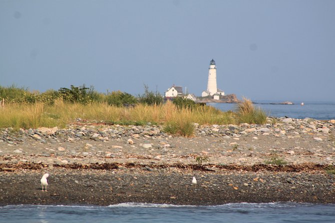 Boston Harbor Sightseeing Cruise - Food and Drinks on Board