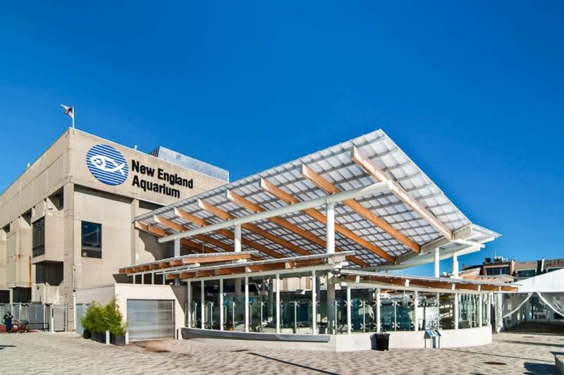 Boston: New England Aquarium Entry + Optional Simons Theatre - Explore Boston’s Premier Marine Attraction with Ease and Excitement