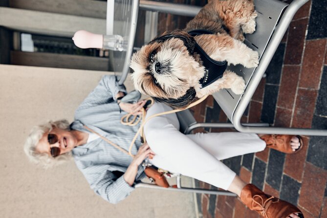 Boston Photowalk - Accessibility, Confirmation, and Practical Details