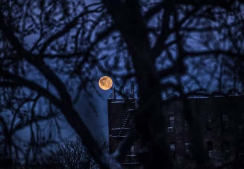 Boston: Private Haunted Ghost Tour After Dark - Who Should Consider This Tour?