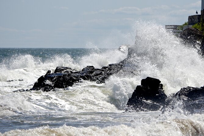 Boston to Kennebunkport Day Trip with optional Trolley Tour - Perkins Cove and Optional Lobster Boat Tour