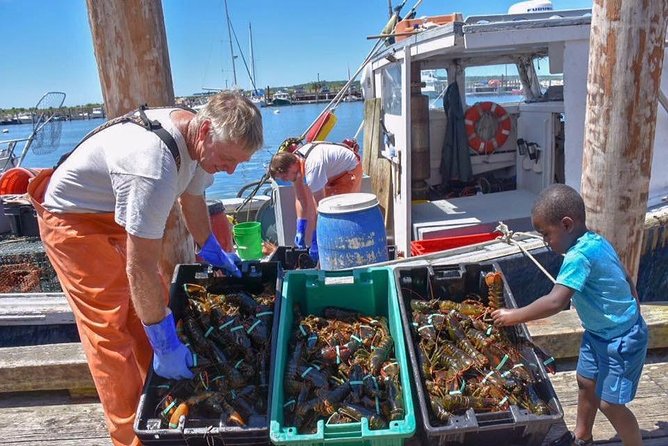 Boston to Kennebunkport with Optional Lobster Tour - Discover the Maine and New Hampshire Coasts in a Single Day