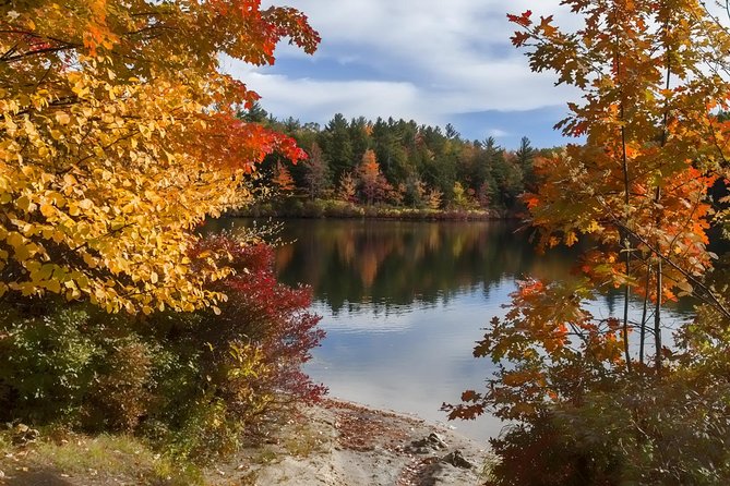 Boston to New Hampshire Fall Foliage White Mountains Day Trip - Lunch in North Conway: A Charming Mountain Town