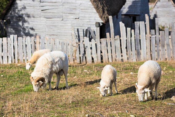 Boston to Plymouth Day-Trip including Quincy, Plimoth Patuxet and Mayflower II - Visiting the National Monument to the Forefathers
