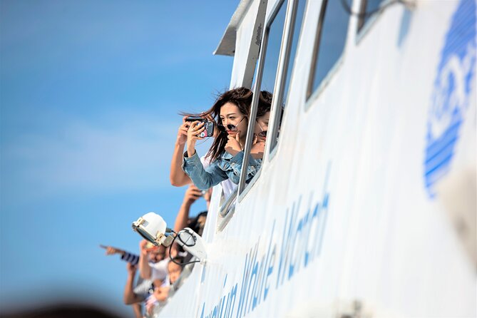 Boston Whale Watching Cruise by High-Speed Catamaran - Marine Wildlife Encounters and Sightings