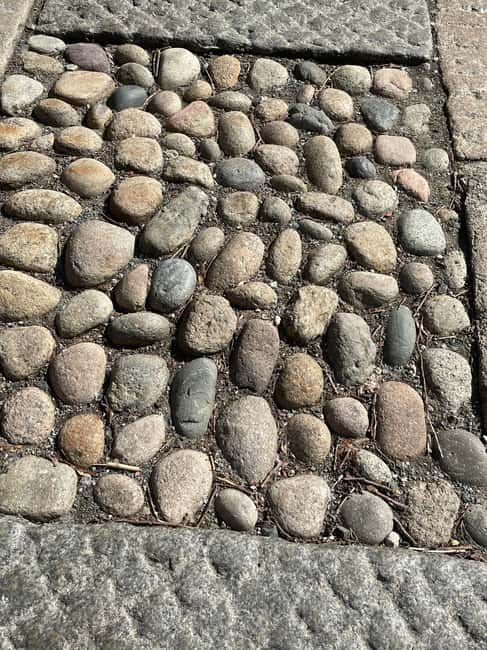 Boston's Beacon Hill: Small Group or Private Walking Tour - Why Choose the Beacon Hill Walking Tour?