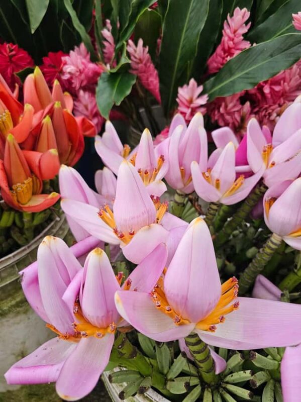 Botanical experience in Argovia: Flowers, Trail, and Tasting - Key Points