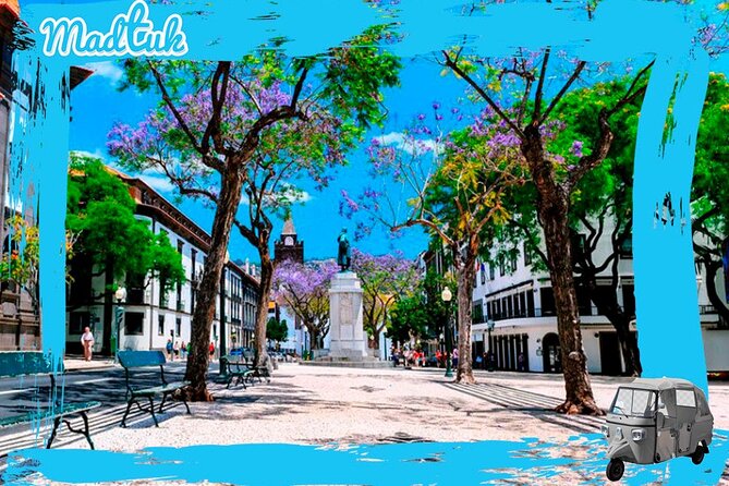 Botanical Gardens + Old Town Tuk-Tuk Private Tour by MadTuk - What the Tour Does Not Cover: Garden Entrance and Outside Funchal