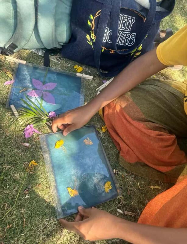 Botanical Printing and Water Marbling in Mexico City - Key Points