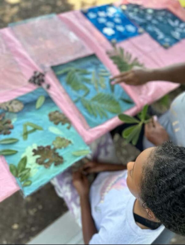 Botanical Printing and Water Marbling in Mexico City - Creating Unique Artwork with Locally Sourced Materials