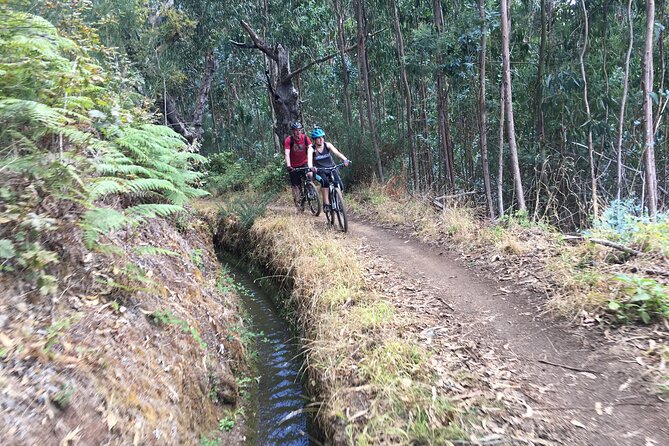 Botanical Trails of Madeira. Mountain biking Trail Experience - Riding Along Madeira’s Levadas and Forest Trails