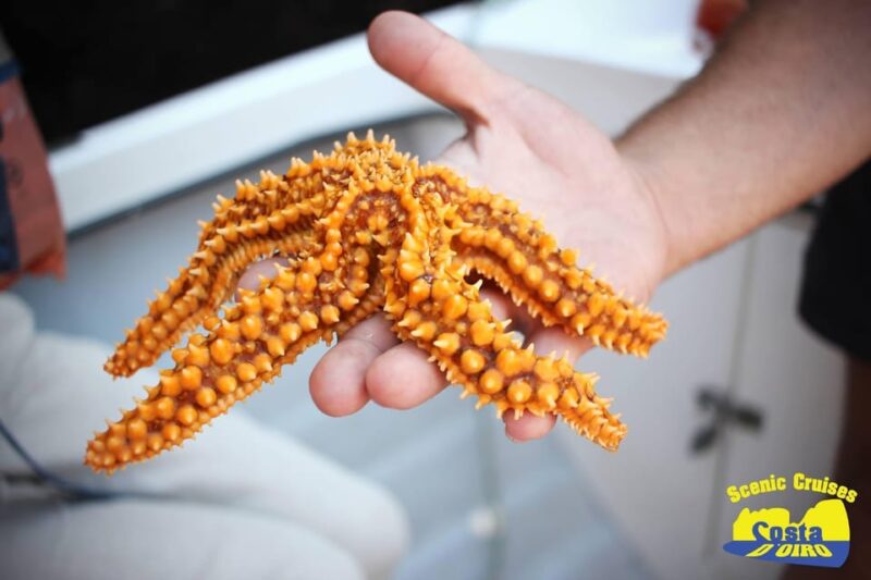 Bottom Fishing Lagos - Key Points