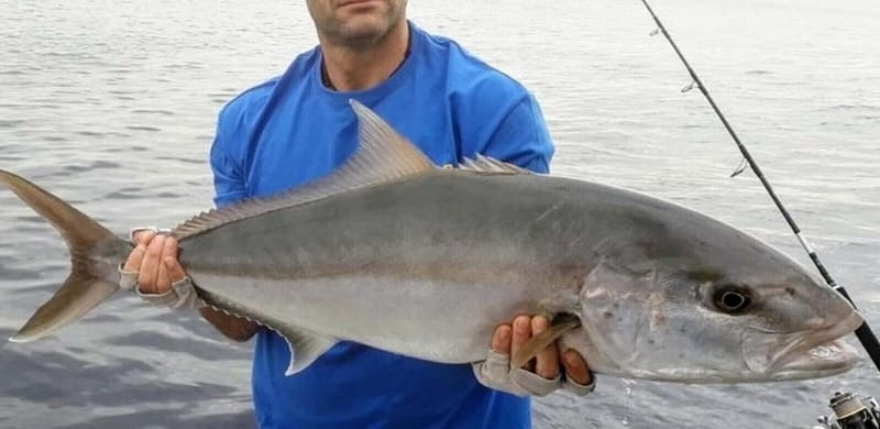 Bottom fishing & light trolling Puerto Calero, Lanzarote - Who Would Enjoy This Tour Most?